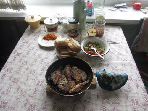 Караси в сметане.