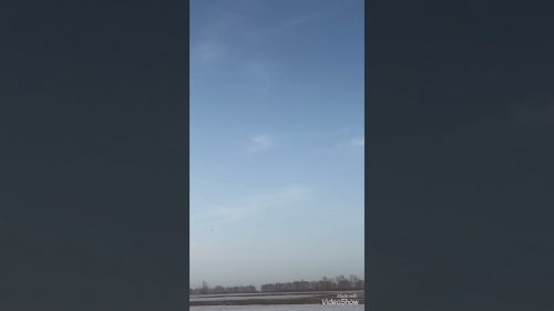 6 апреля 2021 г.