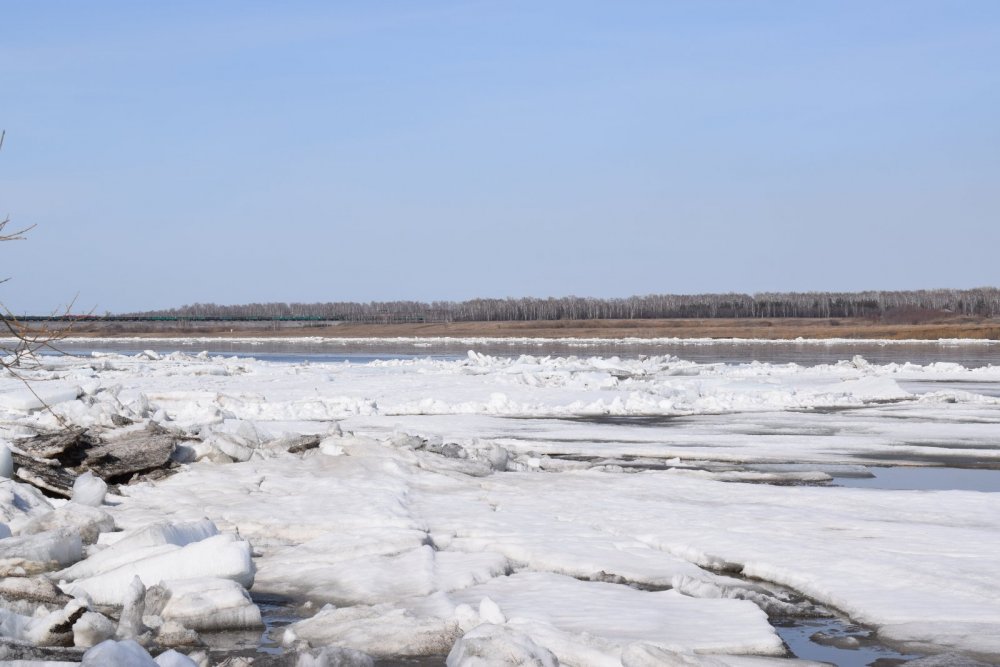 Ледоход р.Томь.