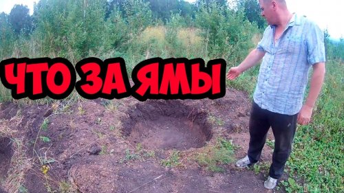 ЧТО ЗА ЯМЫ В ЛЕСУ ?