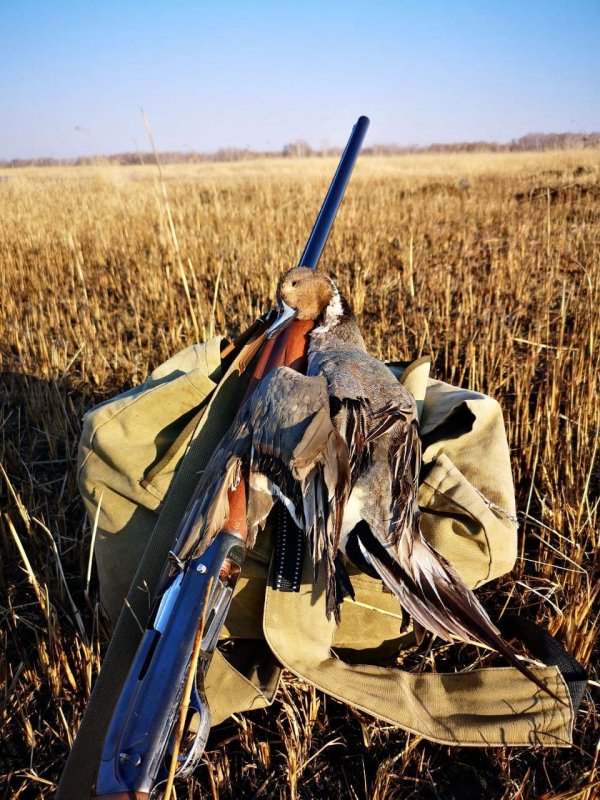 Неуловимые шилки