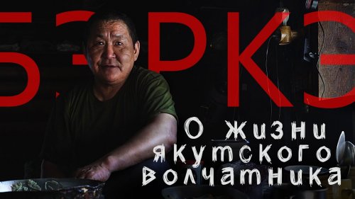 О жизни якутского волчатника.