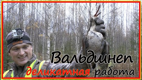 Деликатная манера отработки шнепа - имеет ли право на жизнь?