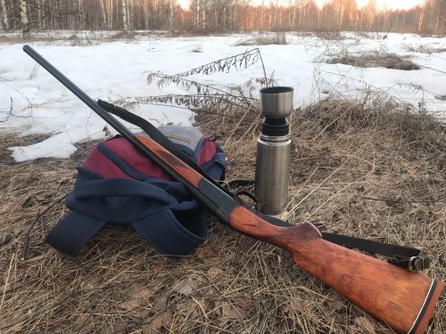 Иж 17