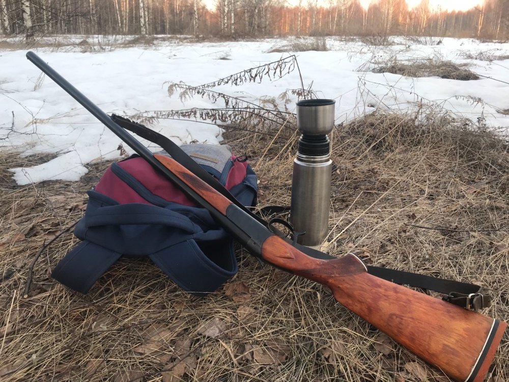 Иж 17