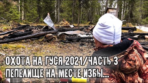 Охота на гуся в Республике Коми 2021/Пепелище на месте нашей избы/Первые выстрелы/Часть 3