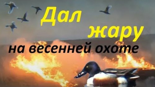 Прожженая весенняя охота