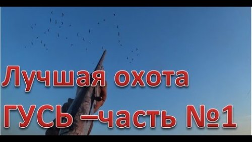 Лучшая охота по ГУСЮ част №1