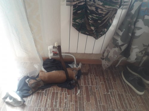 Великоваты, однако)))))