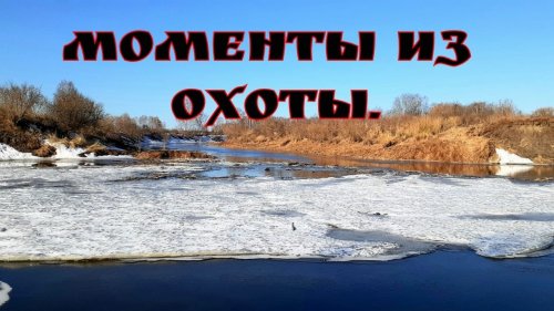 Стаи уток.  Находки на реке.  Обработка дичи.  Природа.