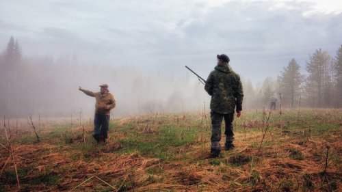 ВОТ ЭТО ОХОТА. ВОТ ЭТО РЕЗУЛЬТАТ. САМАЯ РЕЗУЛЬТАТИВНАЯ ОХОТА НА ВАЛЬДШНЕПА.