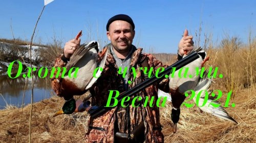 Охота с чучелами.  Весна 2021.  Жарим сало, и готовим чай на костре.