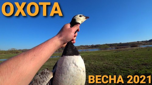 Охота на Гуся,Селезня,Вальдшнепа.Весна 2021г.Одни сутки на охоте.