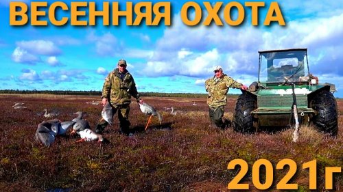 Весенняя Охота 2021г.Восемь дней живем с Батей на болоте.Такой охоты у нас еще не было.