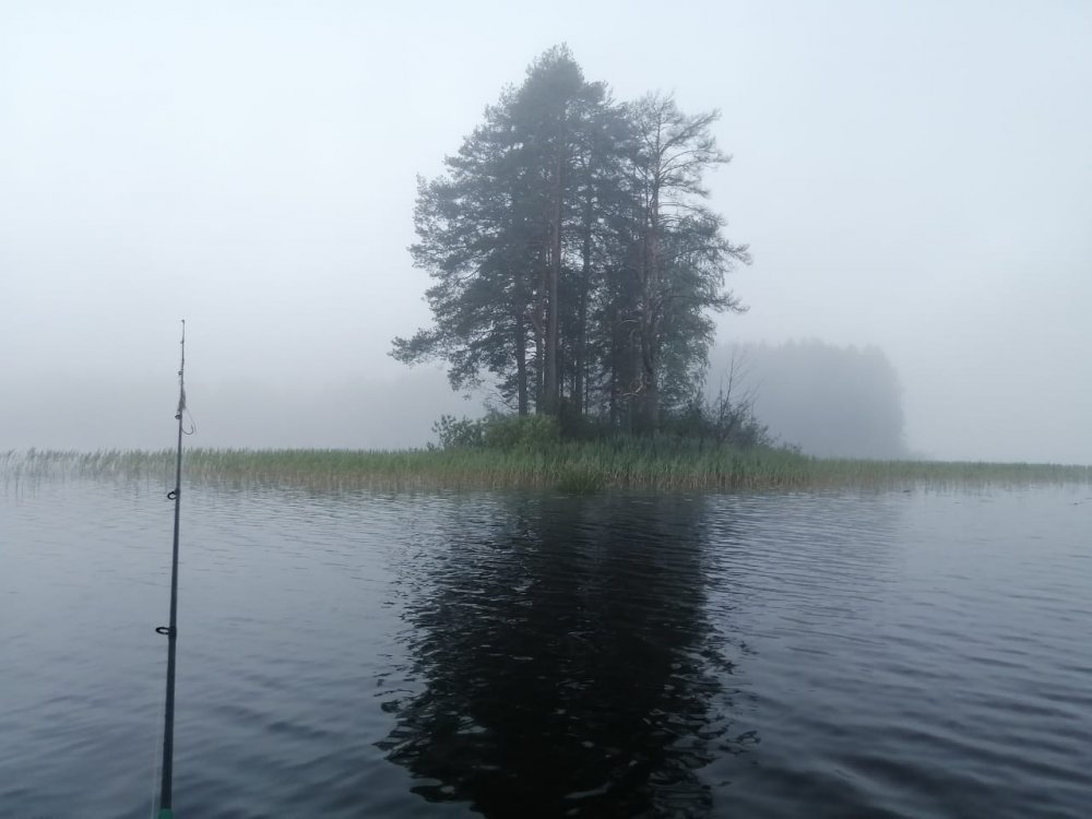 рассвет