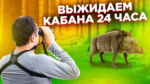 Сколько Весит Кабан? | Удачная охота на кабана с вышки  и тепловизор | Дикая охота 2020