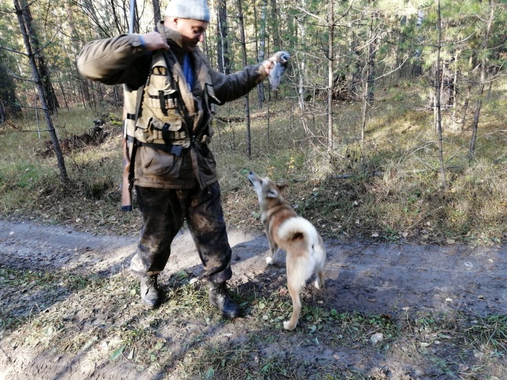 Первый выход