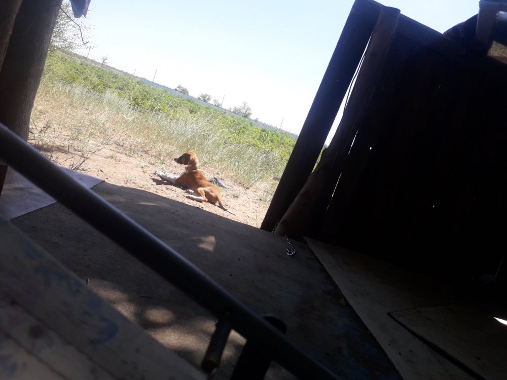 Покараулю сон партнеров))))