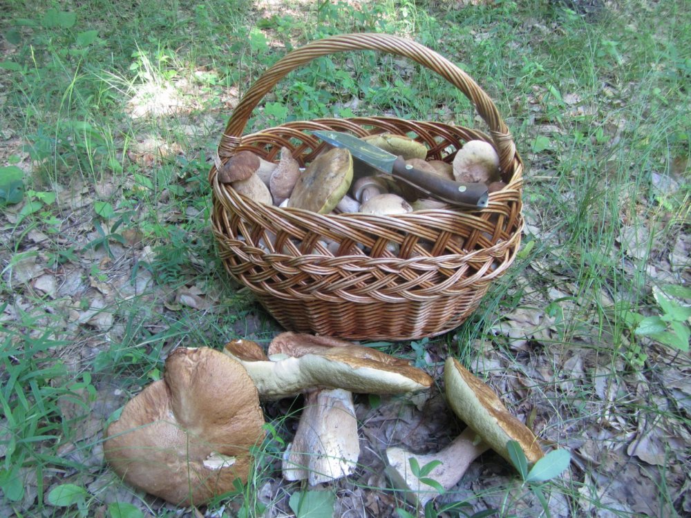 "Три богатыря".