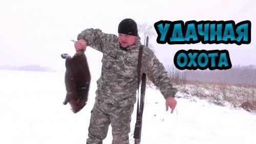 Охота на бобра.С полем .
