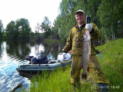 Не мясом единым, но и рыбой тоже...