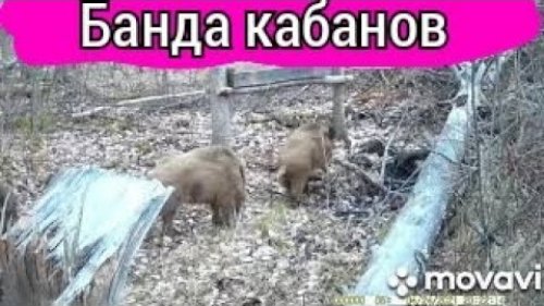 19 мая 2021 г.