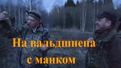 Охота на вальдшнепа с манком #8 Чемпион&Язь
