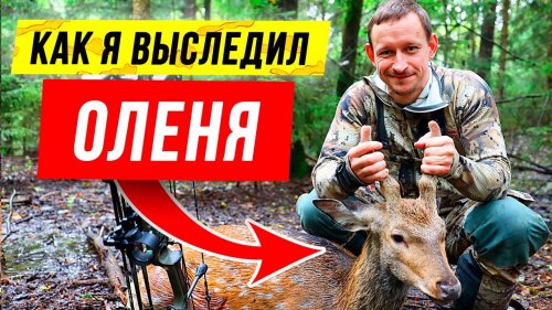 Deer bow hunting | Deer hunting with the Mathews VXR (eng sub) | Охота на оленя из лука MATHEWS VXR