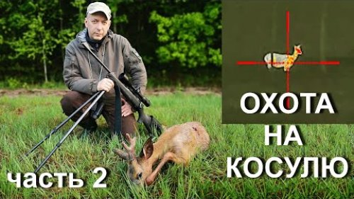 Охота на косулю в Белоруссии. Ржавый Blaser. Тепловизор iRay .