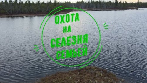 Семейная охота на Селезня.