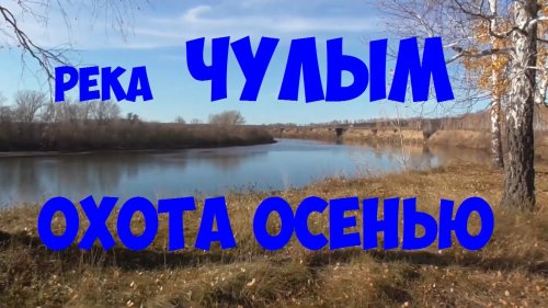 выстрел по глухарю..промах НА ОХОТЕ