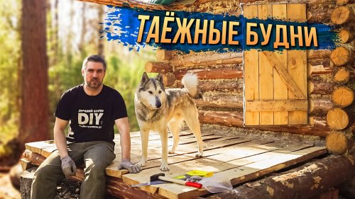 Таёжные Будни в ЛЕСНОЙ ИЗБЕ: ПИЛЮ, КОЛОЧУ, ОХОЧУСЬ. Добрые походы