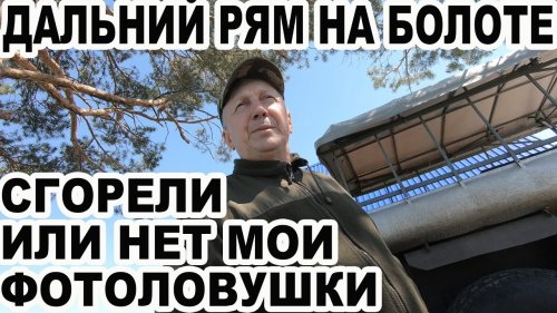 Едем в дальний рям на болоте. Сгорели или нет мои фотоловушки? Учет медведя.