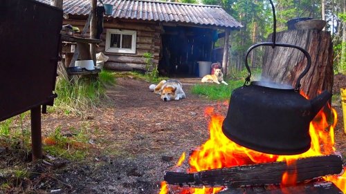Поездка в лес на 7 дней.Рыбалка на таёжном озере.Живем с Батей на кордоне.Часть 2