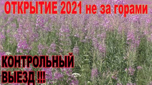 Пополняем солонцы. Проверяем фотоловушки. Готовимся к сезону 2021