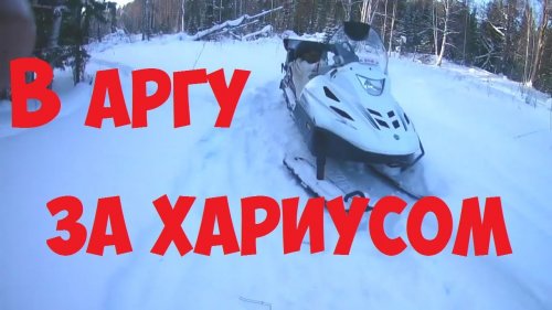 НОВЫЙ Тайга Варяг 550.. в Аргу за хариусом .ОБКАТКА