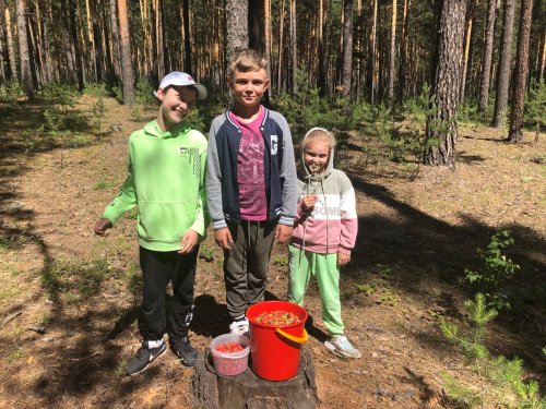 Немного собрали
