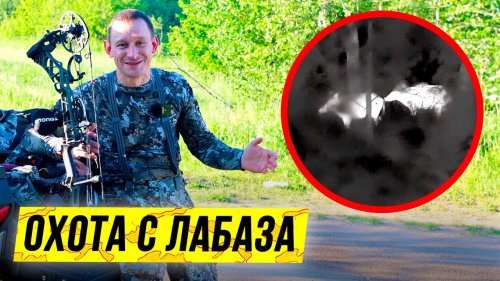 Охота на кабана с лабаза | ???? ОХОТА ???? 2021