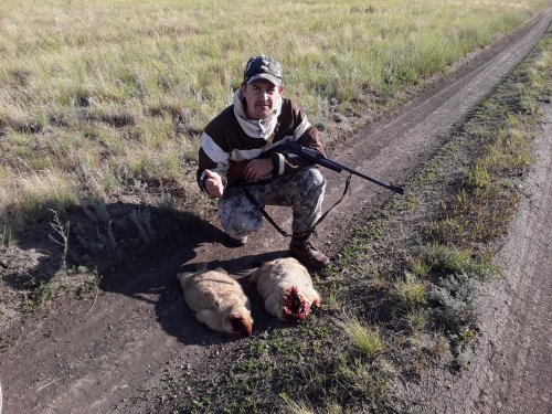 В разгар сезона