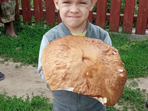 Охотится, но тихо