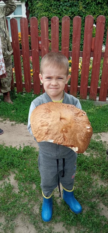 Охотится, но тихо