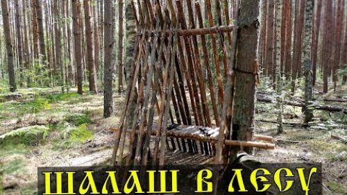 ШАЛАШ  в лесу своими руками \ Укрытие из валежника