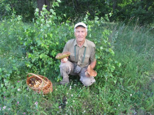 Середина лета.