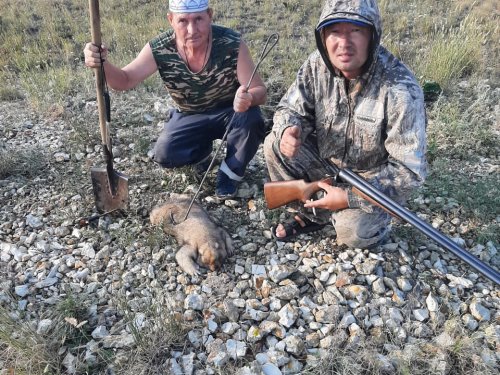 Такой вот ракурс...