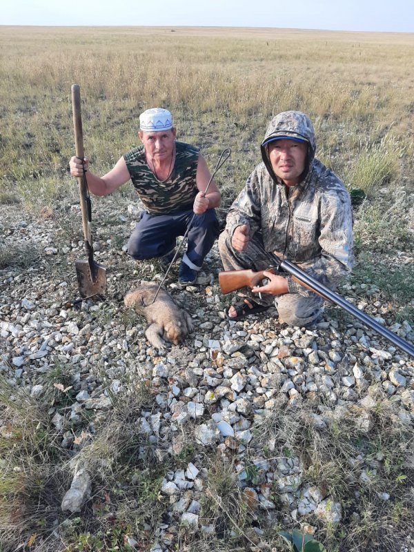 Такой вот ракурс...