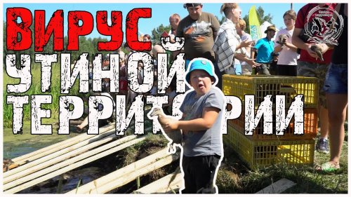Вирус "Утиная территория"