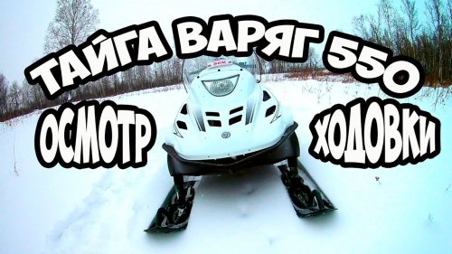 Тайга Варяг 550..ОЦЕНИВАЕМ СОСТОЯНИЕ.Осмотр ходовой части