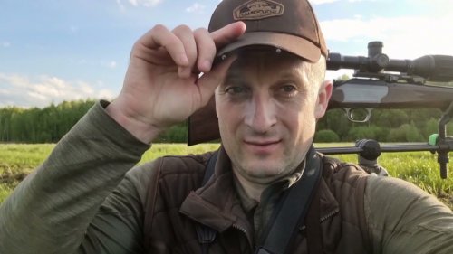 Охота на самца косули летом / Roe deer hunting in summer.