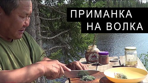 Изготовление ПАХУЧЕЙ ПРИМАНКИ на ВОЛКА.