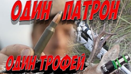 Охота на косулю с манком. Гон у сибирской косули. Roe deer hunting with decoy.  4K Nordik Roe
